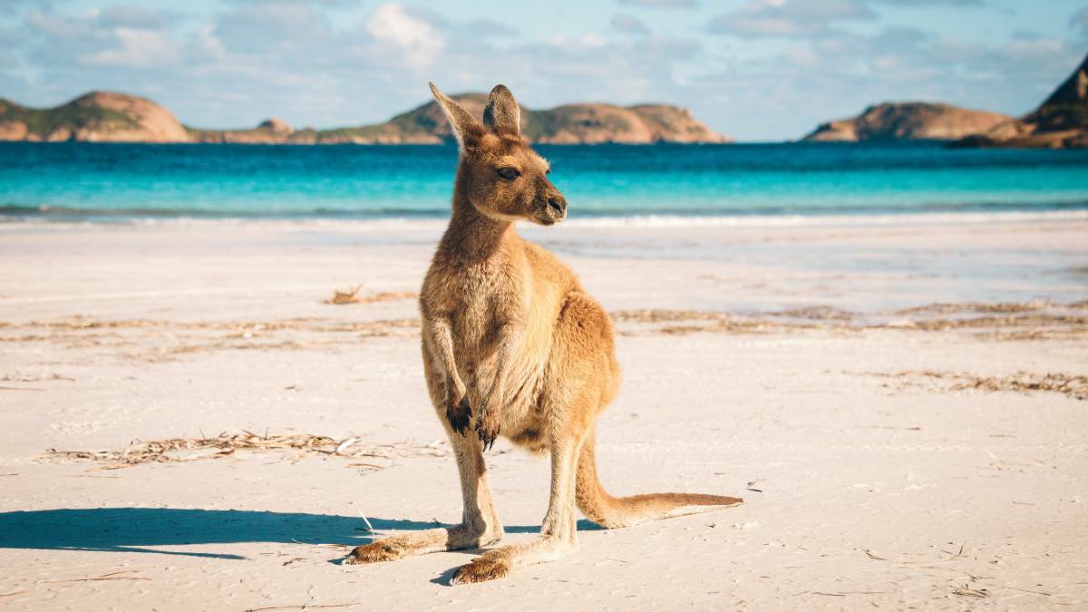 Celebrating Australia Day | Quiz