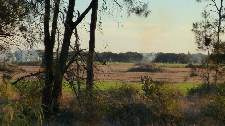 The NSW government's bid to ease land-clearing laws are under fire even from the farmers' lobby group.