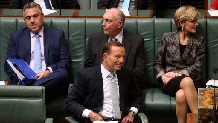 The Abbott government has enjoyed a surge in popularity after its second, seemingly "fairer", budget. Photo: Andrew Meares