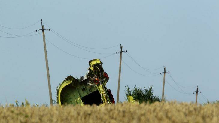 The rear fuselage of MH17 in a field outside the village of Grabovka. Photo: Kate Geraghty