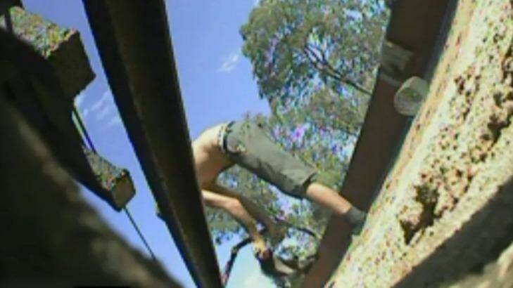 A screenshot of the Four Corners program on greyhound racing industry, alleging to have been filmed at trainer Tom Noble's property in Queensland.   Photo: ABC