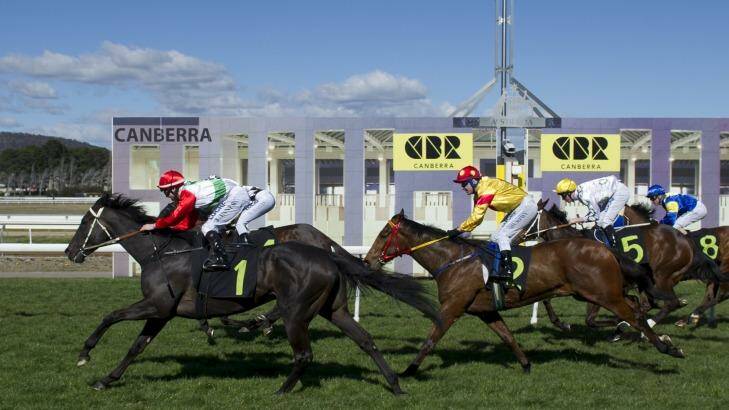 Warinda (No.1) did just enough to win race three at Thoroughbred Park in Canberra on Friday. Photo: Rohan Thomson