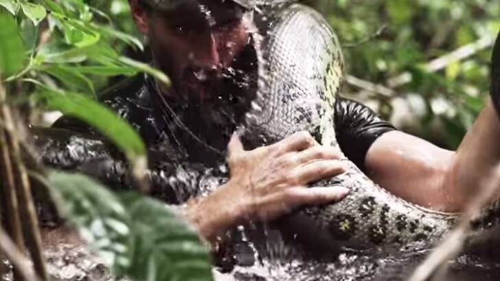 Controversial: Paul Rosalie holds the anaconda. Photo: Screen grab, The Discovery Channel, YouTube