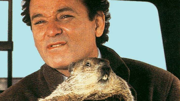 Bill Murray in Groundhog Day.










Groundhog day- movies- the list