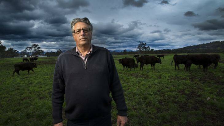 David Blackmore on his cattle property near Alexandra. Photo: Simon O'Dwyer