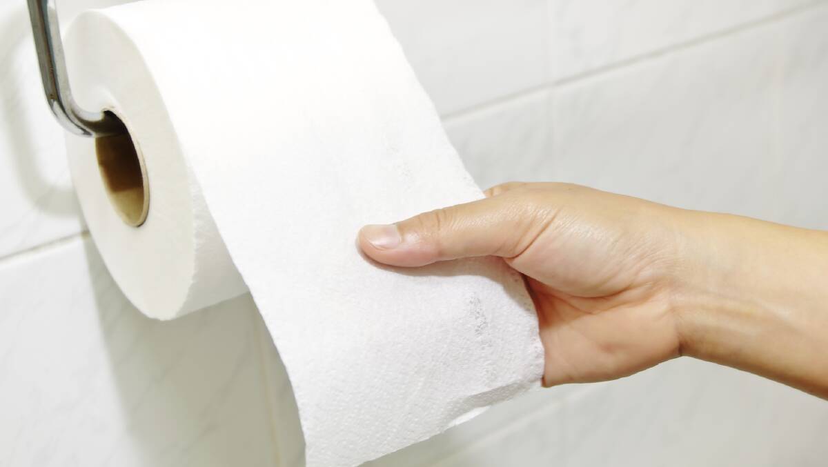 Folders dominate the toilet paper debate