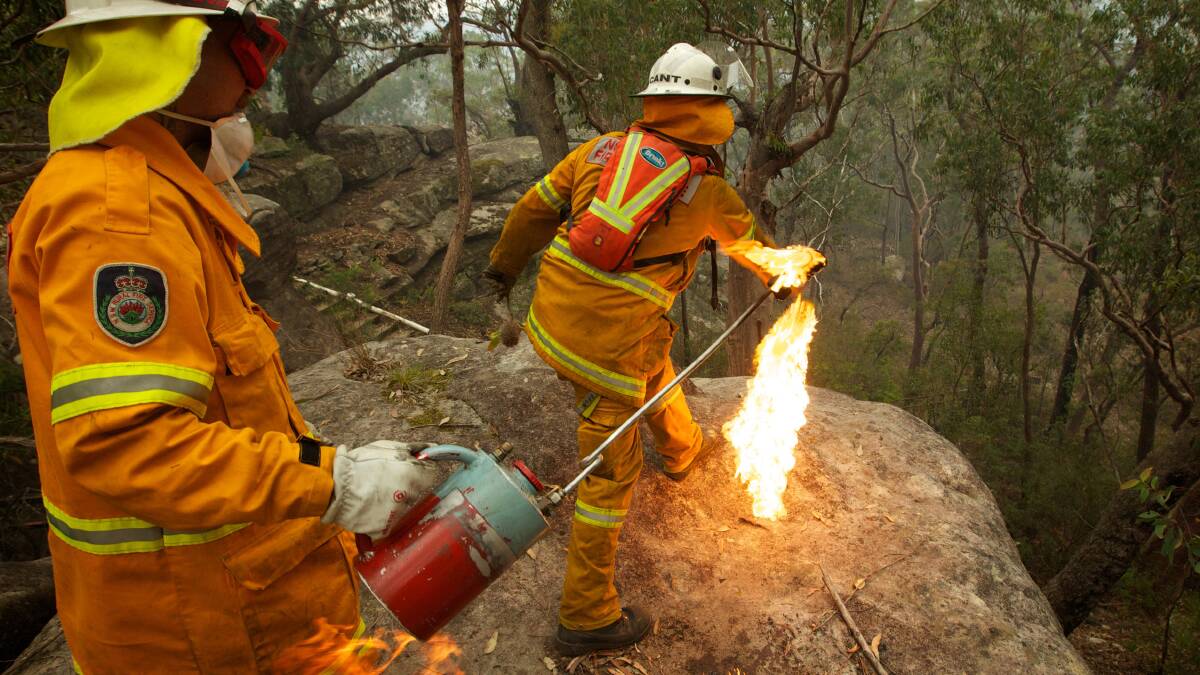 NSW Rural Fire Service Crews in property protection mode throw burning Banksia cones off an escarpment as they commence a back burn north of the Bells Line of Road between Berambing and Bilpin. Photo: WOLTER PEETERS