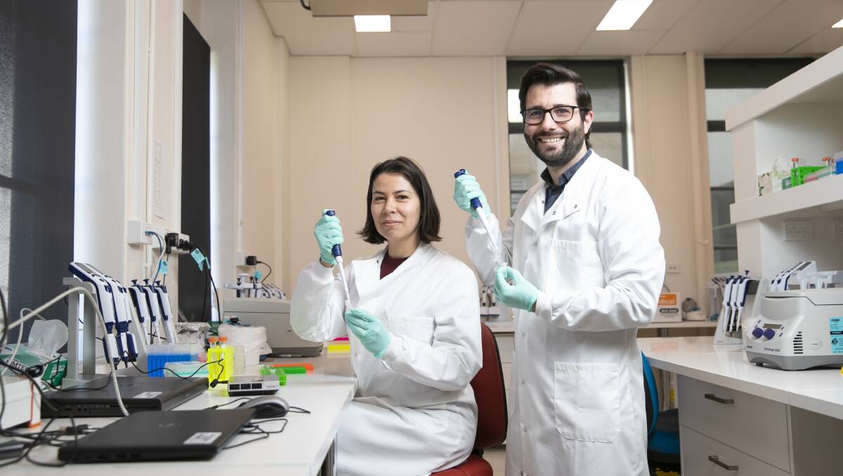 Dr Bryan Lessard and Dr Luana Lins in the lab sequencing bug DNA in the CSIRO's National Collection. Picture: Keegan Carroll