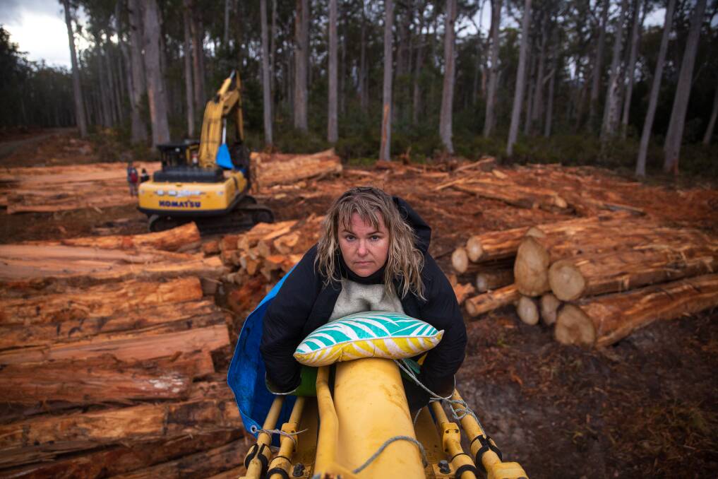 A Bob Brown Foundation protester halts logging activity in the Wentworth Hills in February. Picture: supplied