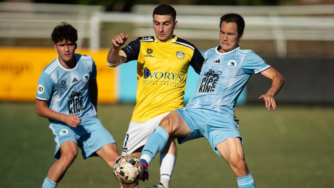 Sutherland Sharks also recorded an important 2-1 victory over Hills United at Seymour Shaw Park on Saturday. Picture Football NSW