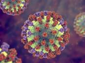 BACK AND BIGGER THAN EVER: Illustration of an influenza virus particle. Picture: Kateryna Kon / Science Photo Library / Getty Images.
