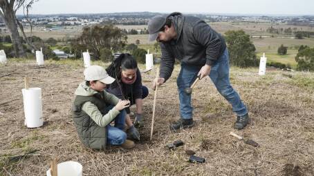 Tree planting in action. Pictures: Supplied
