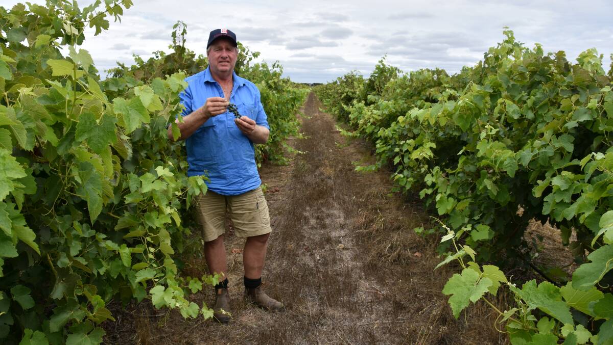 STEP AHEAD: Langhorne Creek irrigator and grapegrower Brett Cleggett says there was some frustration about misinformation but communities and farm businesses needed confidence in the MDBP.