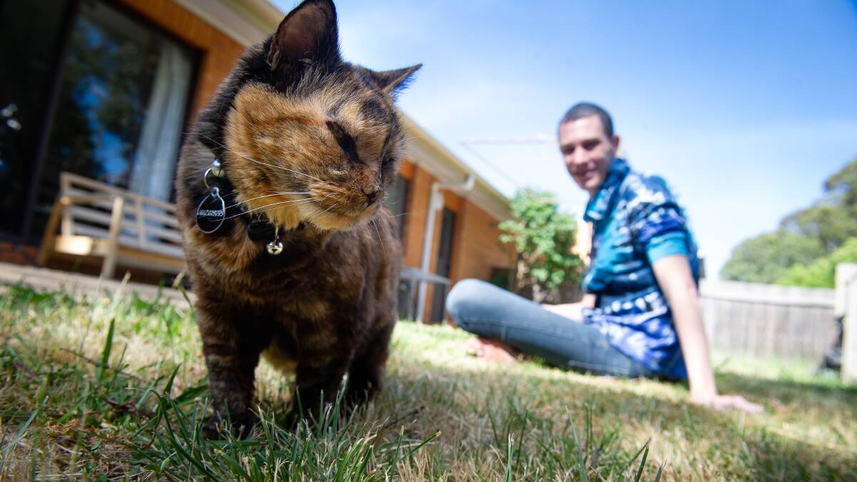 Chris Richards says his tortoiseshell cat Cyndi has helped with his mental health. Picture: Elesa Kurtz 