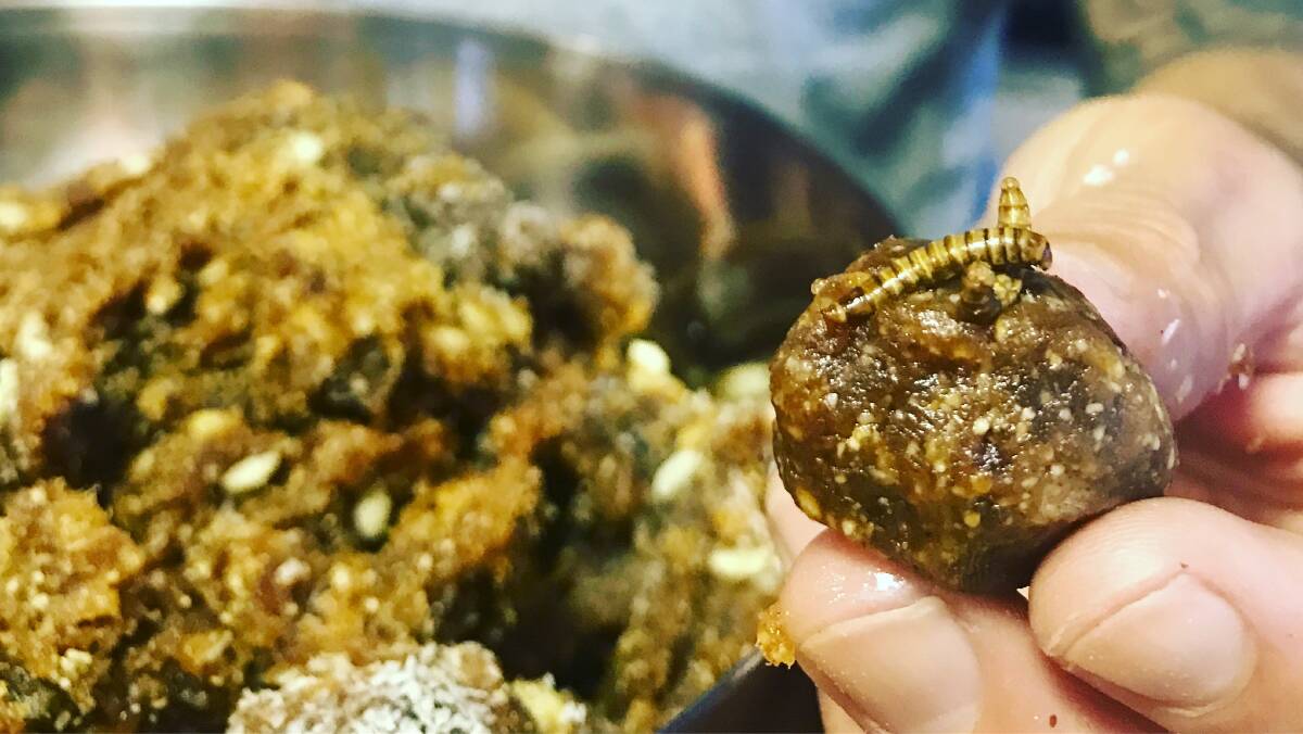 Mealworms on falafel. made by Grilo Protein with Goterra mealworms. 