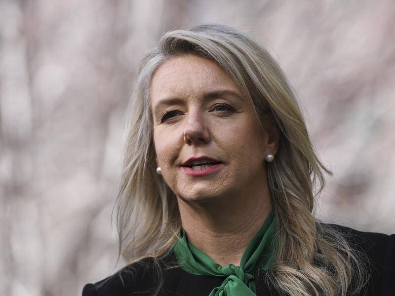 Bridget McKenzie is one of just two Nationals women in the federal parliament.