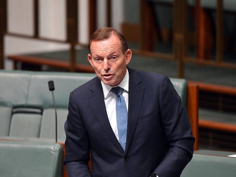 Tony Abbott says Labor has its faults but is at least credible, unlike minor parties.