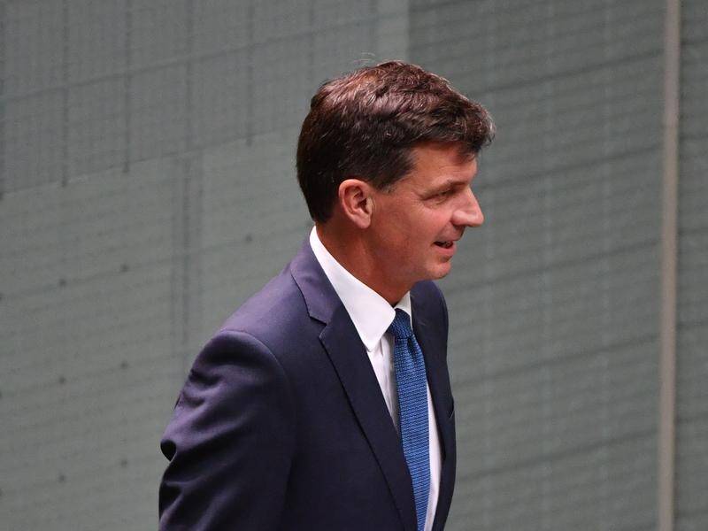 Energy Minister Angus Taylor will hold a summit on how the bushfires affected power generation.