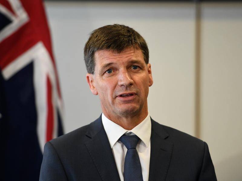 Energy Minister Angus Taylor says a carbon price is not needed because emmissions are falling.