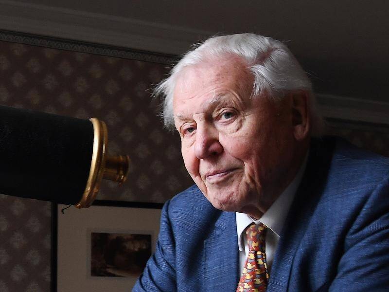 A new book by naturalist Sir David Attenborough will set out his vision for the planet's future.