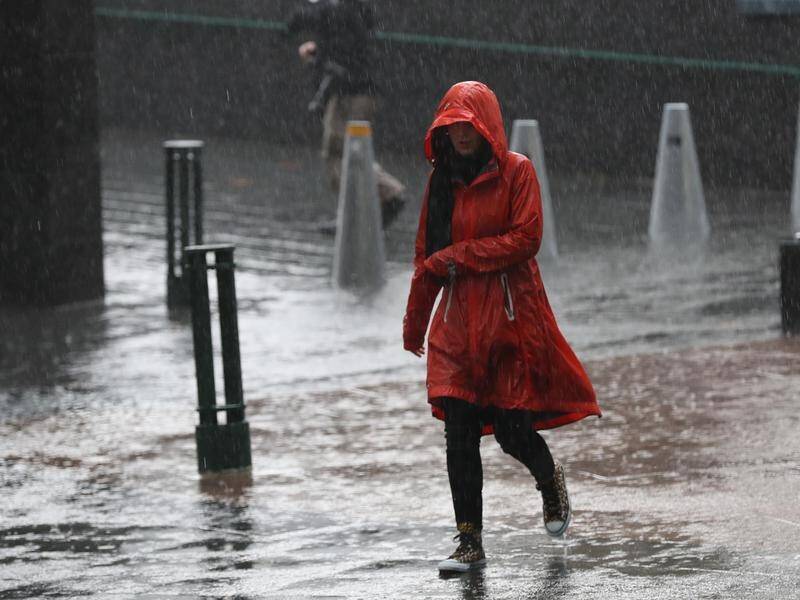 Melbourne has been soaked by a month's worth of rain in one night causing morning traffic chaos.