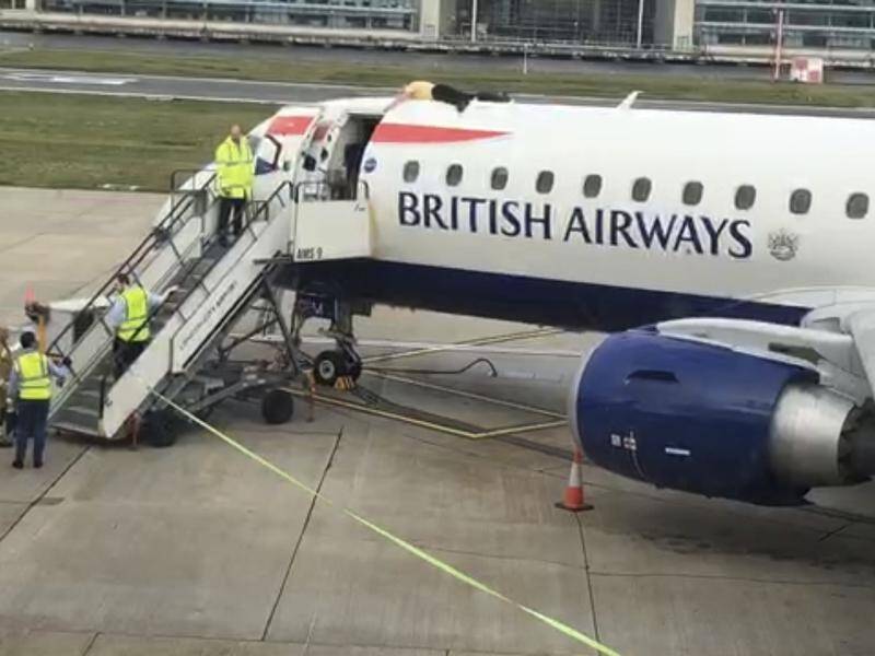 A UK paralympian who superglued himself to a plane in a protest will be stuck in jail for a year.