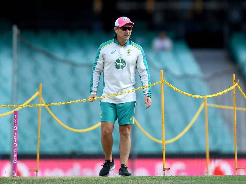 Justin Langer says Cricket Australia is working hard to ensure a tour of South Africa goes ahead.