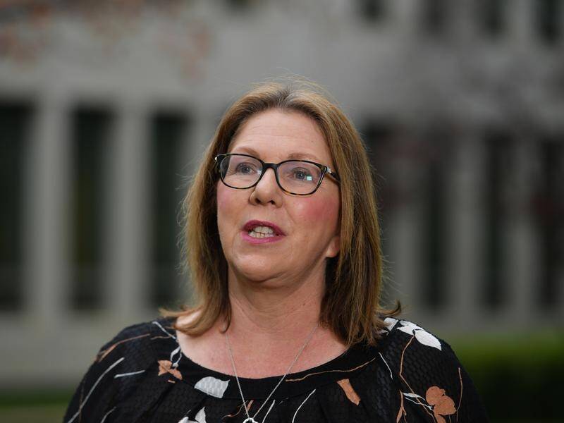 Labor's Catherine King has attacked the coalition government's regional grants programs.
