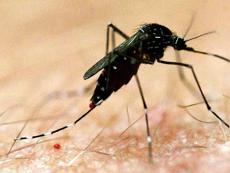 NSW will begin daily reports on new cases of Japanese encephalitis, after an eighth person fell ill.