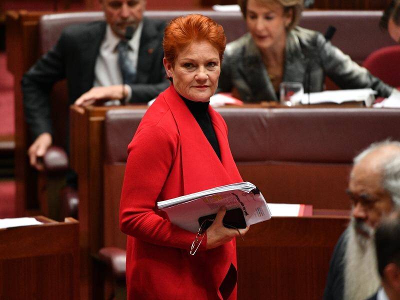One Nation leader Pauline Hanson has proposed a 35 per cent ceiling on government debt.