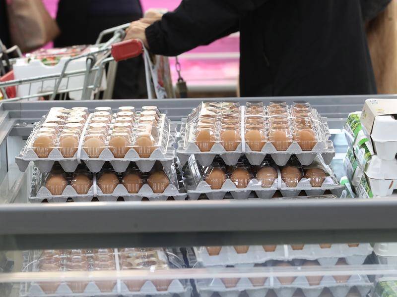 The H5N5 variant of bird flu has been discovered at Sweden's biggest egg producer.
