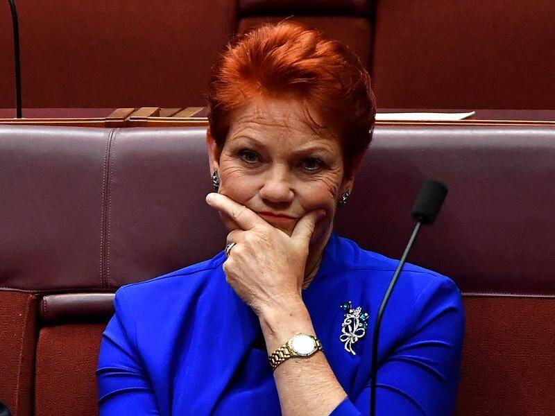 Senator Pauline Hanson failed to attract any support for a plebiscite on immigration.