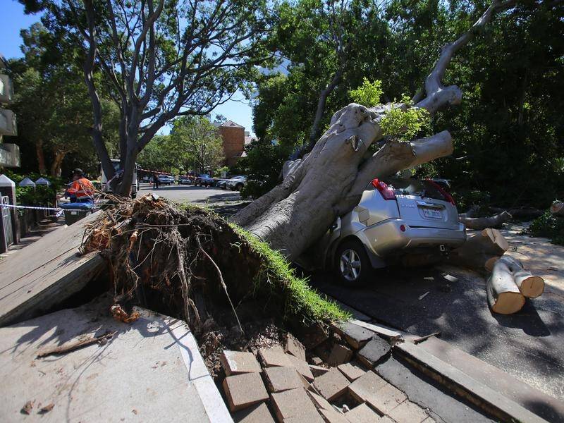 Storm activity which caused major destruction in parts of Sydney has moved further north.