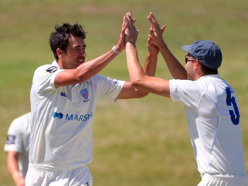 NSW player Mitchell Starc (left) celebrates with teammate Harry Conway after a Tasmania wicket.