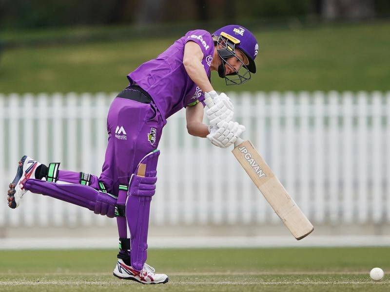 Nicola Carey starred with bat and ball for the Hurricanes against the Stars in the WBBL.