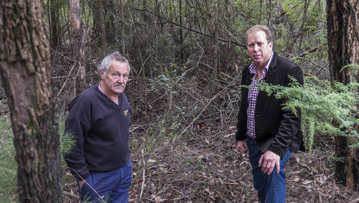 Northcliffe Bushfire Brigade captain Rod Parkes and Shire of Manjimup president Wade De Campo pictured among Northcliffe bushland they say must be back-burnt immediately to better protect the region. Photo: Ashley Pearce. 