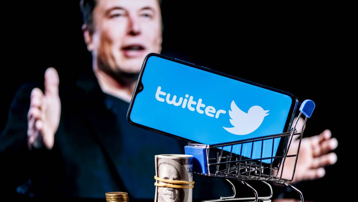 Musk is surely not a benevolent actor, but it's probable that he won't be able to wreck Twitter without wrecking the thing he really cares about: $TWTR. Picture: Shutterstock