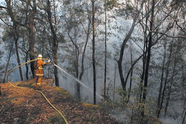 Rural Fire Service firefighter Grant Paisley from Arcadia RFS during a back burn operation near homes in Winmalee on October 18. Photo: Dallas Kilponen